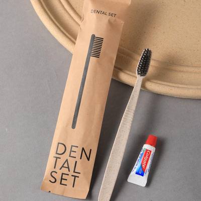 DENTAL KIT (wheat straw brush, colgate paste)box pack