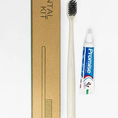 DENTAL KIT (wheatstraw brush, promise & anchor paste)box pack