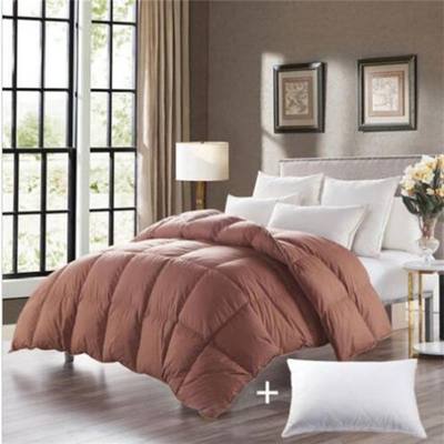 Duvet / Comforter - Micro Fiber 300GSM (D/B)