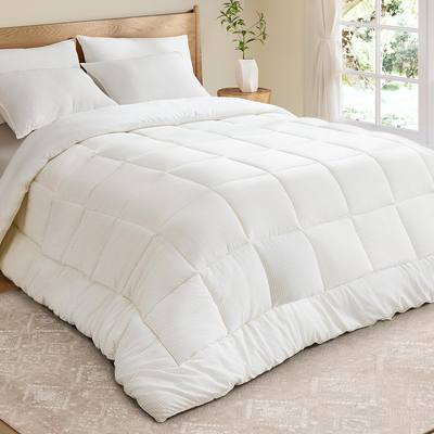 Duvet / Comforter - Micro Fiber 300GSM (S/B)