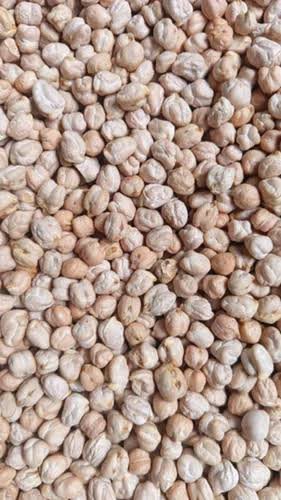 KABULI CHANA (SINGLE DOLLAR) - PER KG
