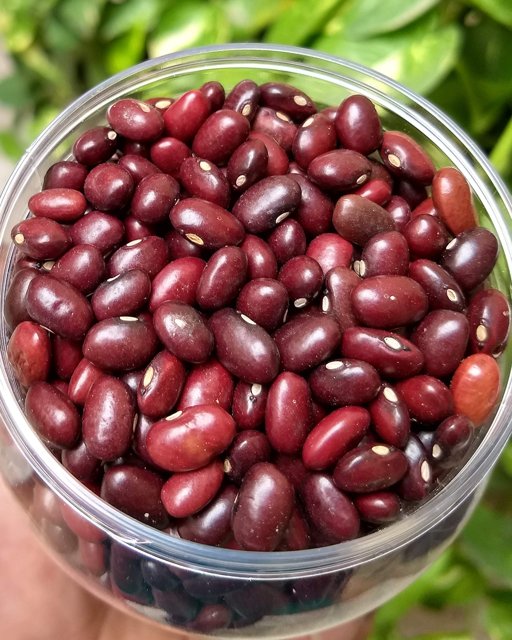 RAJMA - PER KG