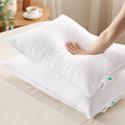 Soft Pillow