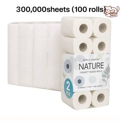 TOILET ROLL 100GM 2PLY SOFT